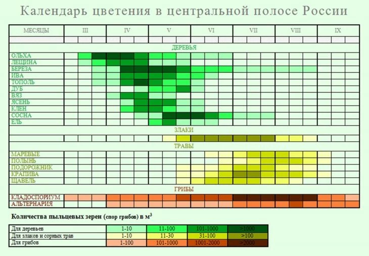 Разобрались? Вот и мы нет. Поэтому не стоит тешить себя иллюзиями о том, что вы сможете идентифицировать аллерген без анализов