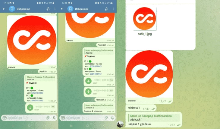 Продолжаем удалять задачи. На крайнем правом скрине видим скрин из папки с файлом task_1.jpg — это файл, который аттачится к «ыыыы» + картинка. Удаляем задачу 1 