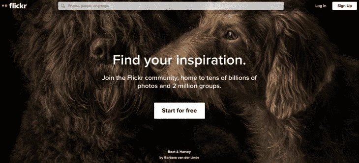 Flickr home page