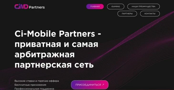 Главная страница партнерской программы