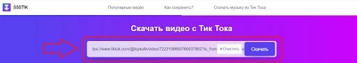 Вставка ссылки на видео для удаления водяного знака ТикТок