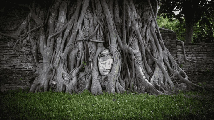 The head of Buddha in Ayutthaya (source: Wikipedia)