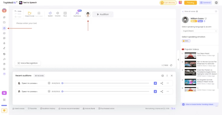 Вкладка Text to Speech для генерации озвучки в Topmediai