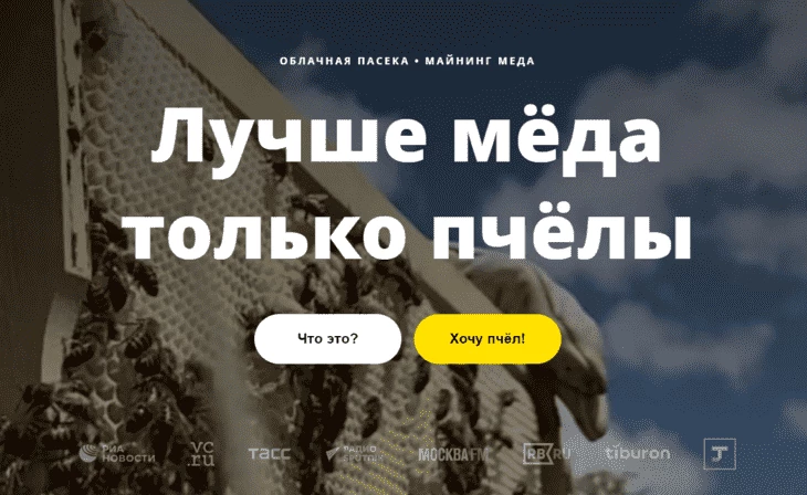 Пчелошеринг - успешно работающий стартап