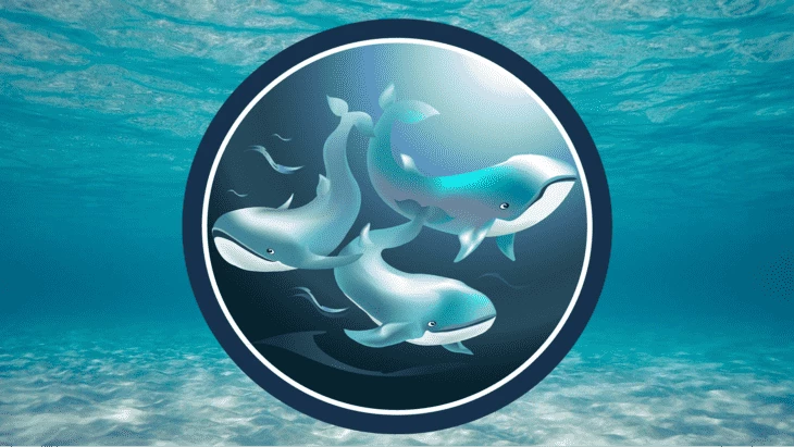 Три кита, на которых держится крипта, — анонимность, децентрализация и безопасность