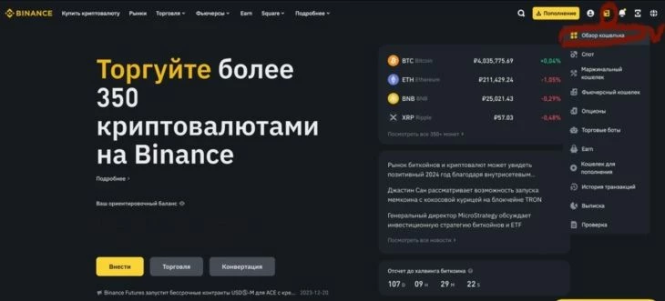 Раздел «Обзор кошелька» на бирже Binance