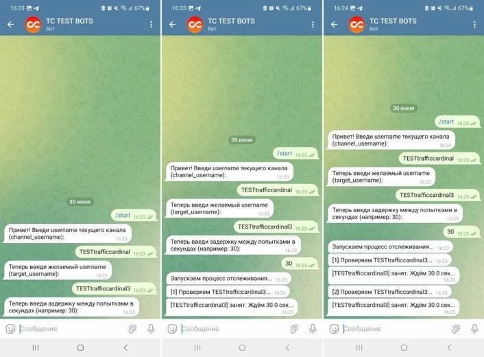 Вводим целевое имя и время задержки. Видим, что пока имя занято, бот просто пытается его занять — но не может