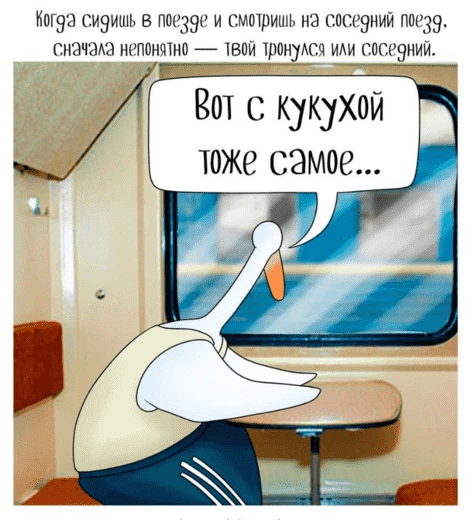 Мем забавный. Ситуация тоже. Но кому именно забавно — понятно не сразу.