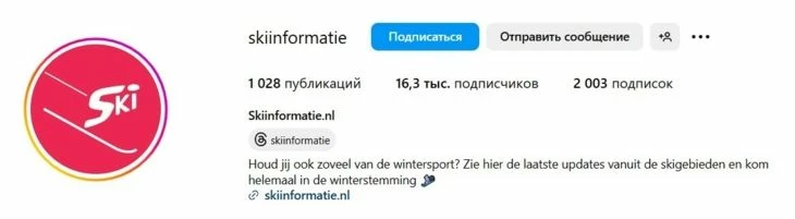 Пример ника в Инстаграм с указанием ниши 