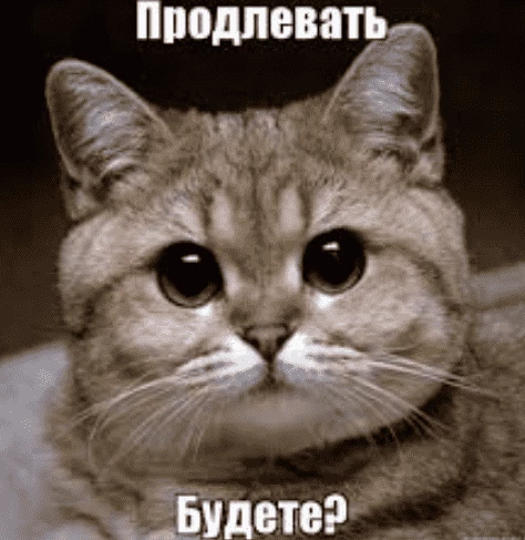 А если найду?