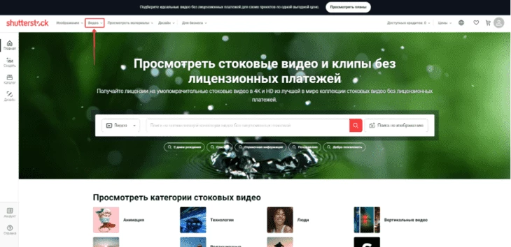 Поиск видео в фотостоке Shutterstock