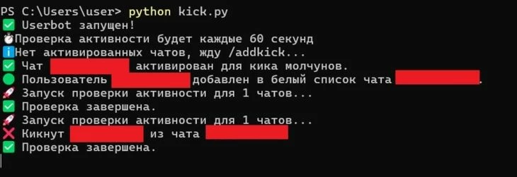 Видим, что бот кикнул тот акк, что не в БС (для теста значения были уменьшены до 1 минуты)