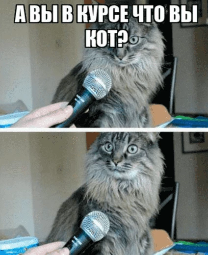 Типикал нетворкинг на конфах