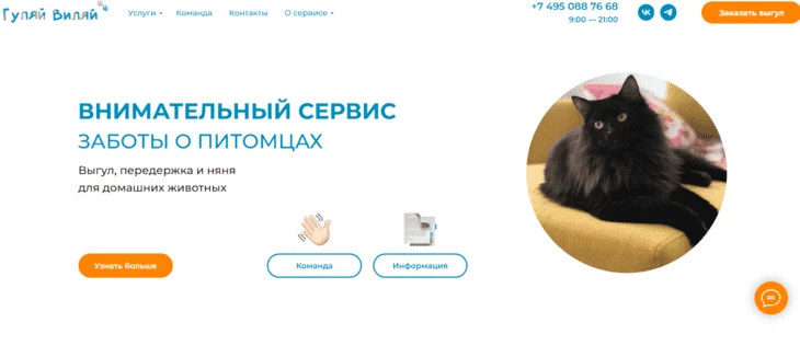 Сервис заботы о животных - успешный бизнес-стартап