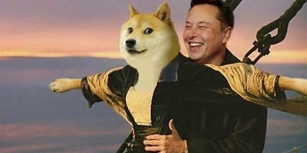Прибыльный кейс на Dogecoin