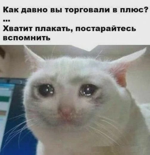 Настроения инвесторов