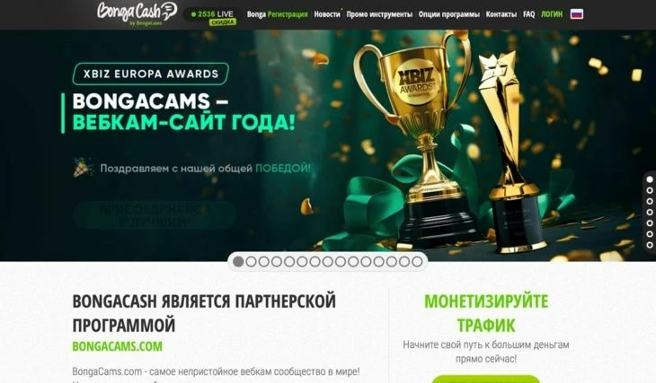 Главная страница партнерской программы