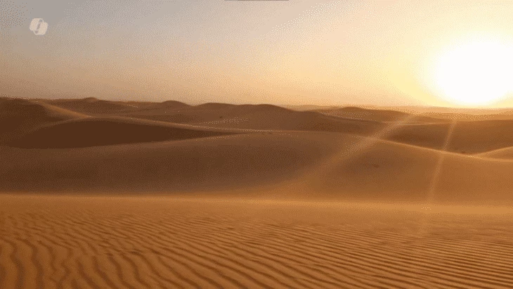 Пример кадра из видео, сгенерированного в Bing