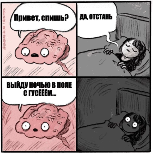 Мы пойдееем с гууусеем…!