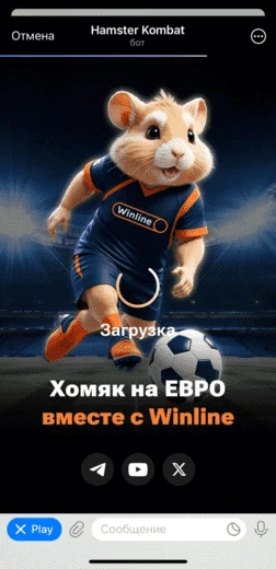 Коллаб Winline и Hamster