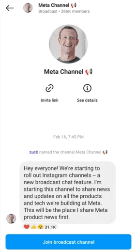 Zuckerberg's Meta Channel