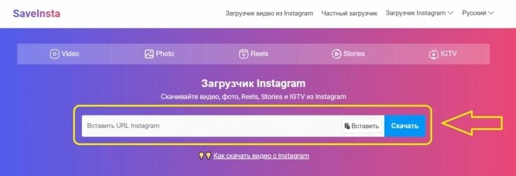 Поле для скачивания, на примере SaveInsta