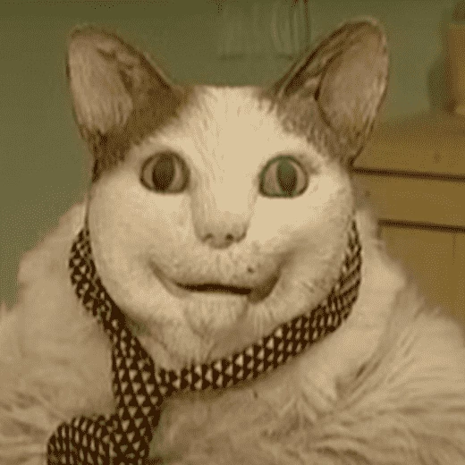 Бу! Испугался? Не бойся! Празднуй и радуйся или я тебя сожру!