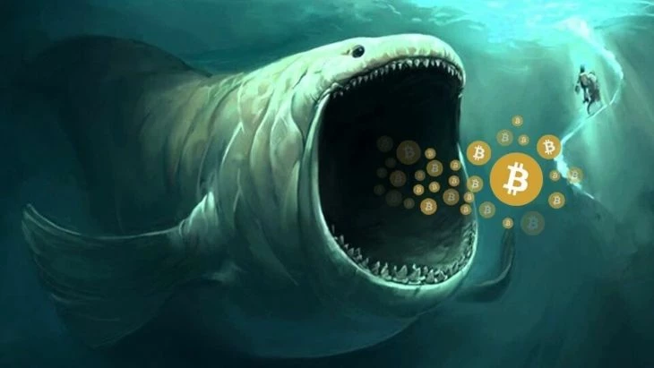 Образная иллюстрация криптокита 