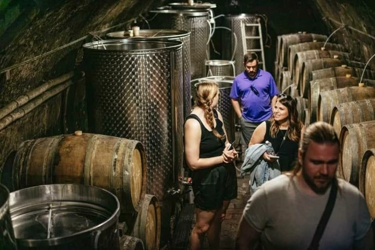 The Etyek Winery (source: getyourguide.com)