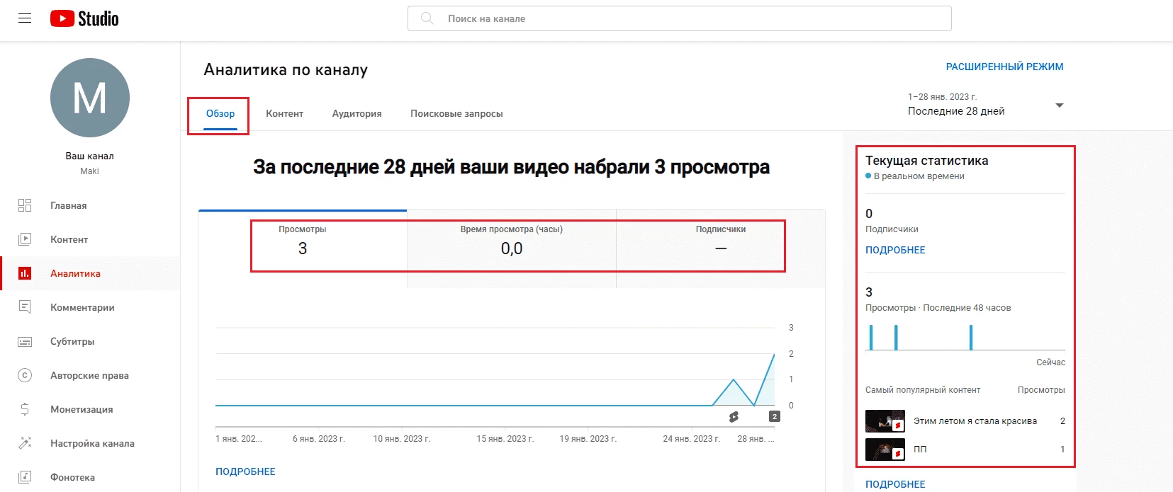 Аналитика YouTube Shorts 