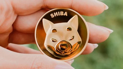Визуализация монеты SHIB