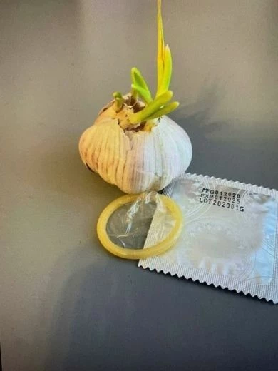 Пример крео