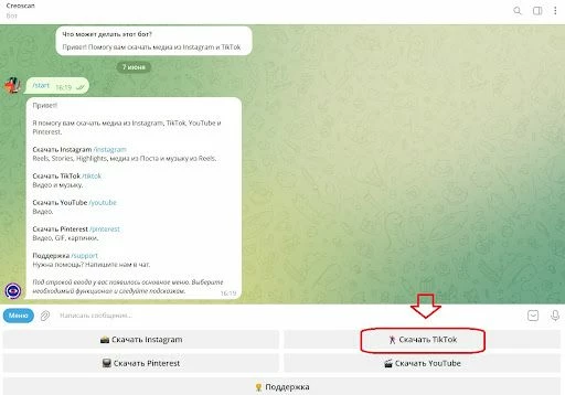 Активизация бота для удаления водяного знака ТикТок