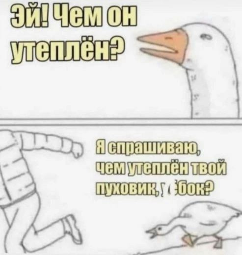 Коротко о том, почему пух дорогой