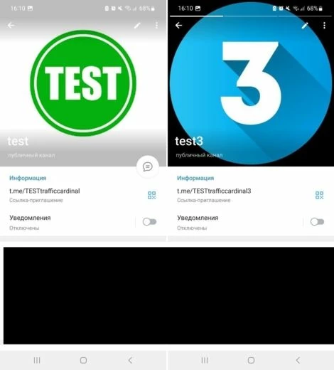Для начала демонстрируем целевые каналы: TESTtrafficcardinal будет условно «нашим», а TESTtrafficcardinal3 — тем, чье имя мы заприметили