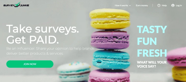 Survey Junkie homepage
