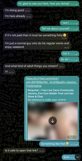 Пример хорошей переписки в Telegram