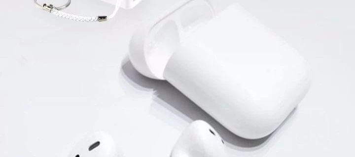 Лид форма и клоака