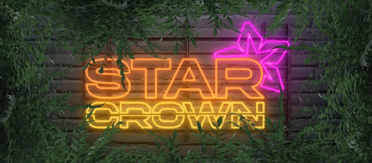 Обзор партнерской программы Starcrown Partners