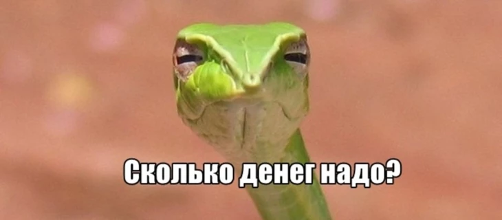 Между стоимостью клика и конкуренцией: сколько денег нужно для старта с Google Ads в разных нишах