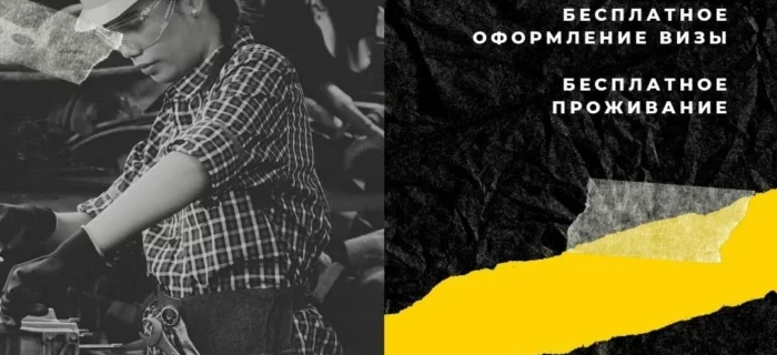 Кейс: 387 заявок по 0.7$ в сфере рекрутинга