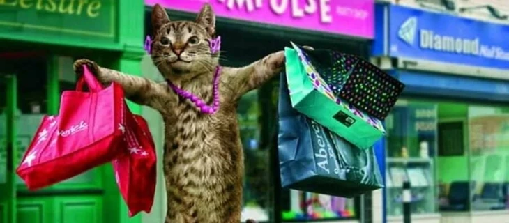 Как работать с Shopping Ads и какие товары там можно продвигать