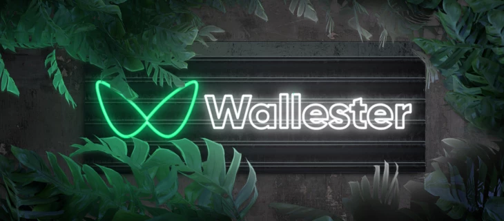 Обзор платежной системы Wallester