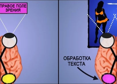 Психологические феномены в арбитраже трафика