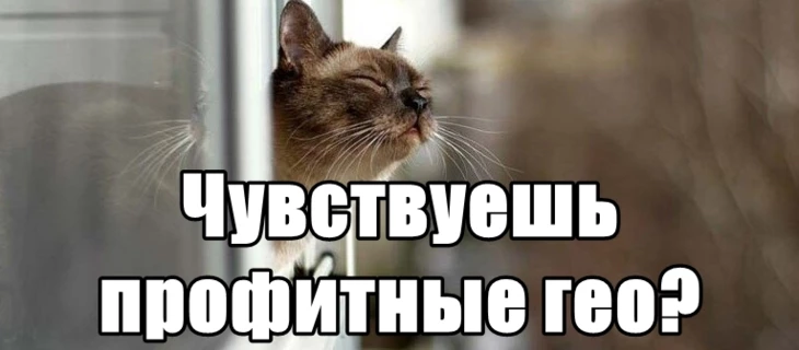 На какие гео лить гемблинг весной профитнее? Разбираем примеры и причины