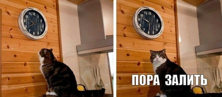 Миф о «лучших часах и днях для открутки»: когда Google сам знает, когда тебе лить