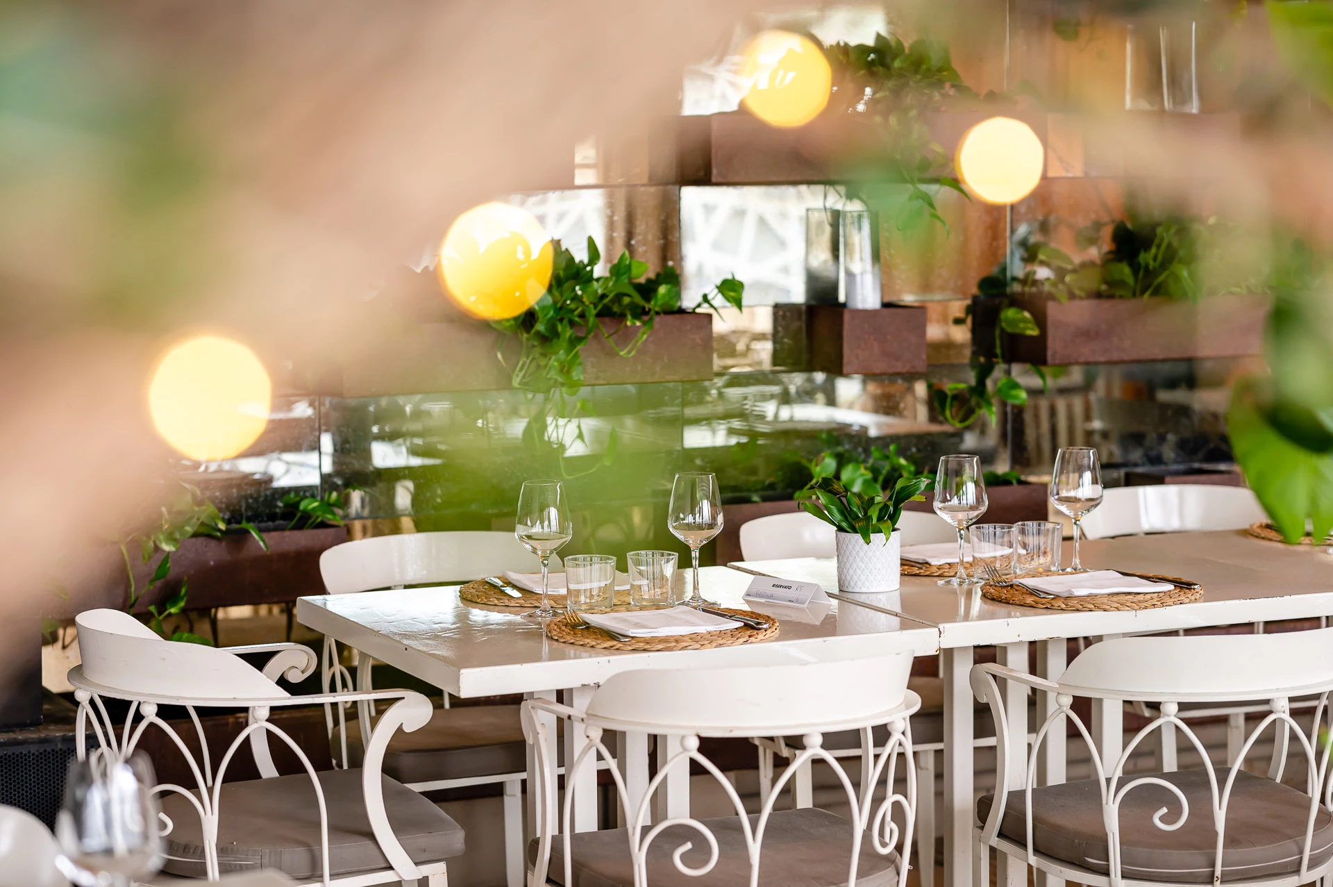 Affiliate White Sensation