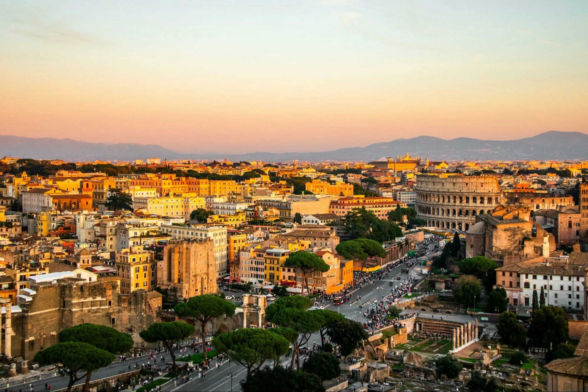 ACTIVITY — WINE TASTING EXPERIENCE