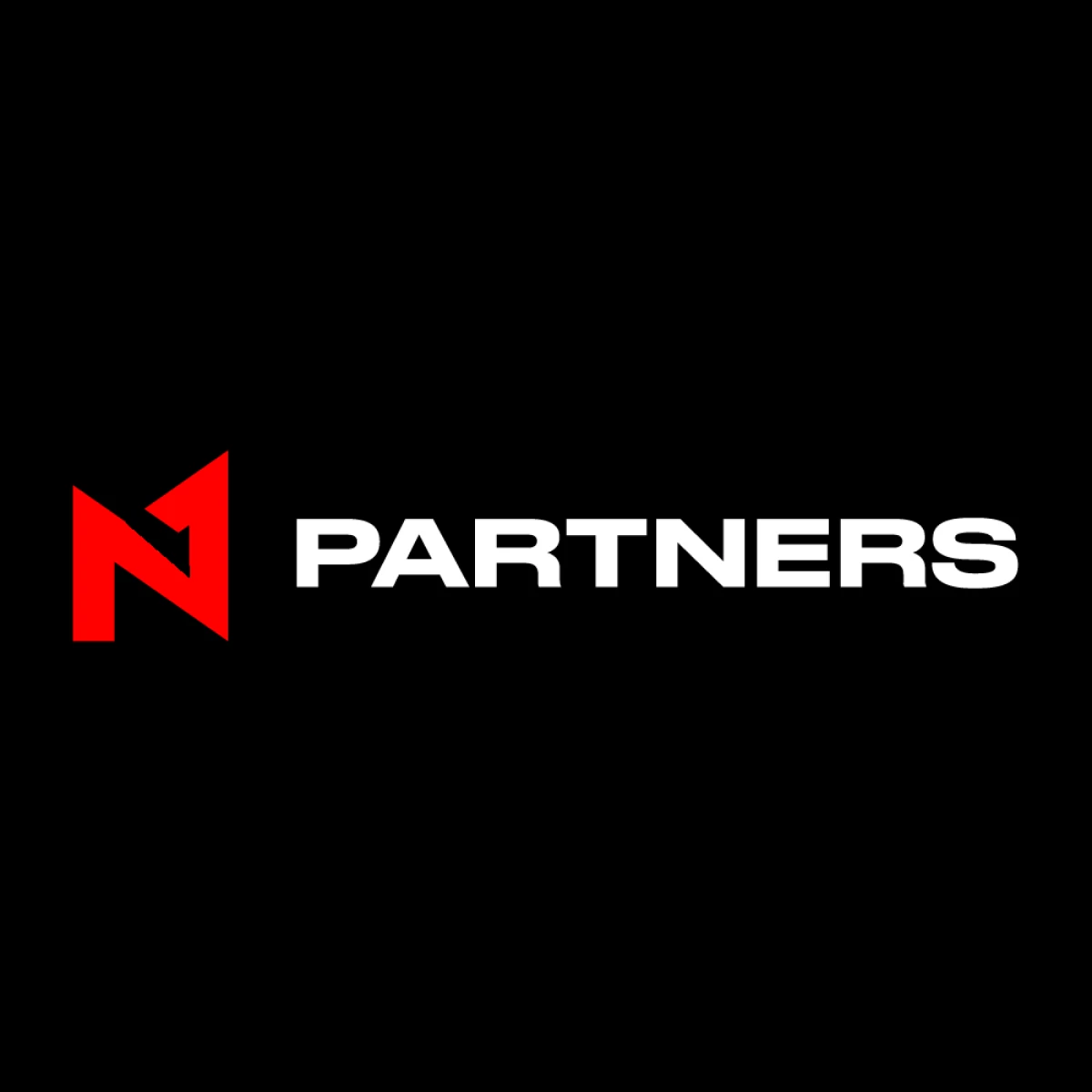 N1 partners
