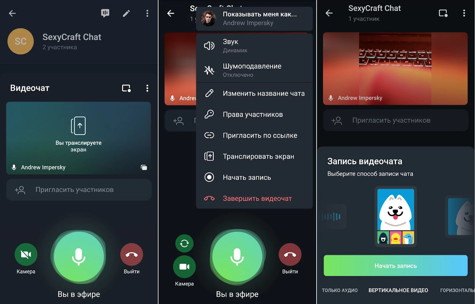 Настройки, доступные во время трансляции в Телеграм
